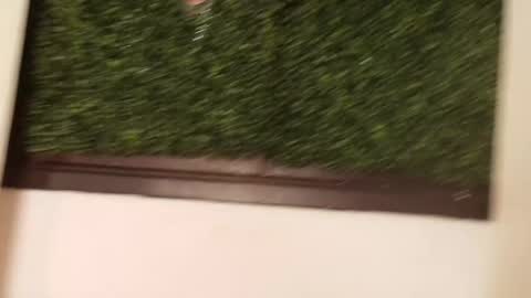 Juli online show from 03.13.26