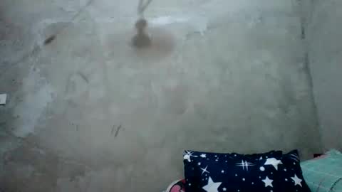 juliett online show from 02.27.26