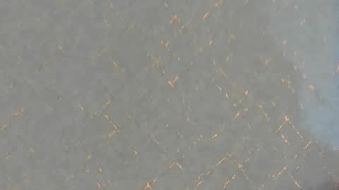 junosomnum online show from 03.01.25