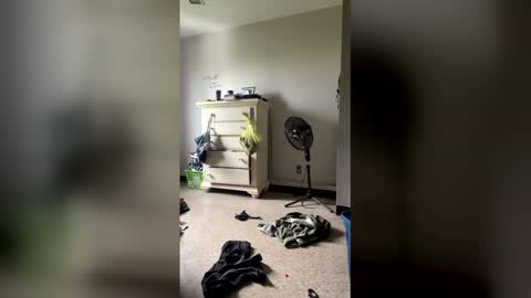 junosphboi online show from 04.03.26