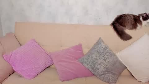 Alex Alexandra online show from 06.24.26