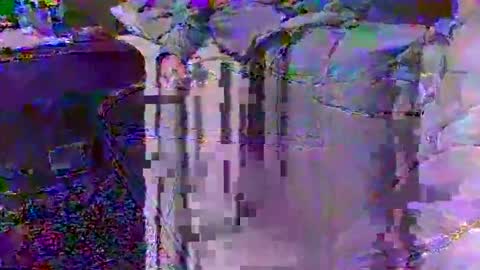 Techno Nymph online show from 02.25.26