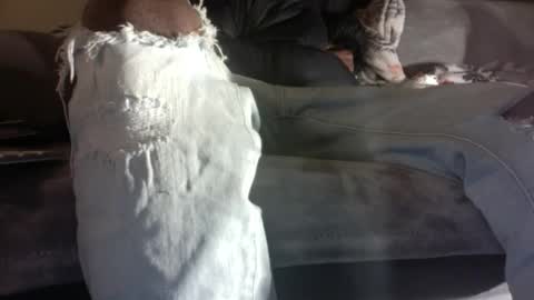 The Great online show from 10.20.25