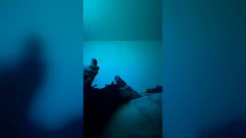 justrty online show from 01.15.26