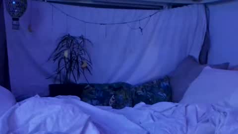 jwolf11851725 online show from 10.29.25