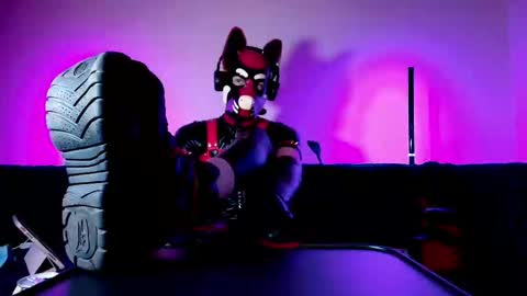 Alex online show from 03.01.26