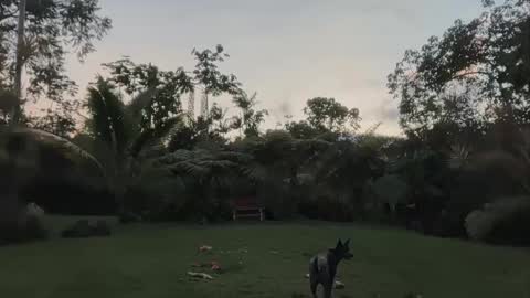 Kailee Smile online show from 04.24.26