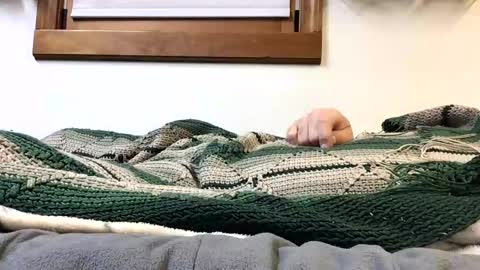 Snapshot of kansas_mastutbater chatting on 10.24.25 kansas_mastutbater online show from 10.24.25