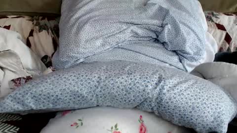 Snapshot of kaonashi69 chatting on 01.19.25 kaonashi69 online show from 01.19.25