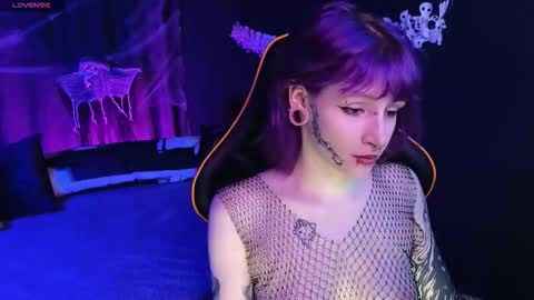 karkadeshk online show from 11.01.25