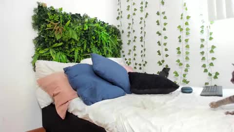 Karlye online show from 02.09.25