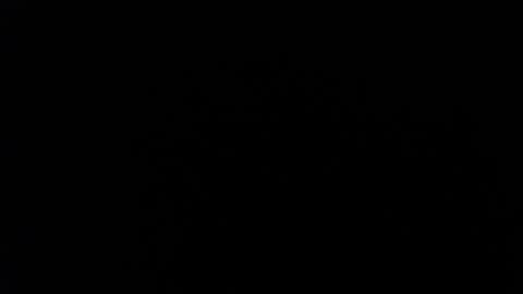 ARIANNA  online show from 10.23.25