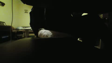 Stojko online show from 10.18.25