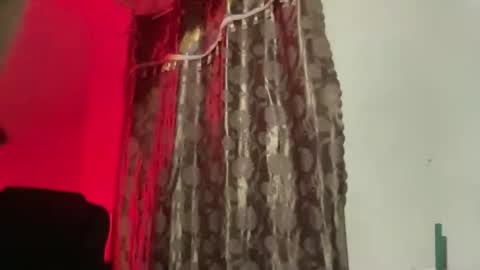 Majesty online show from 11.20.25