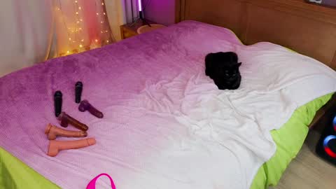 Snapshot of kate_sexhouse chatting on 12.05.24 Kate Sex-House MILA WAYGMT2 MonTue 0300am-1500am online show from 12.05.24