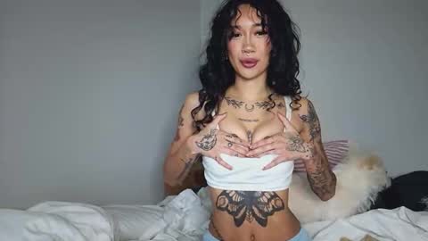 katiecai online show from 04.09.26