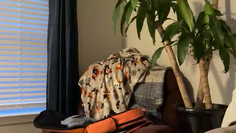 Snapshot of keaton2487 chatting on 10.17.25 Keaton Keller online show from 10.17.25