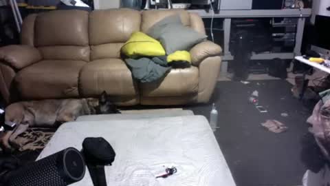 Dexter online show from 07.14.26