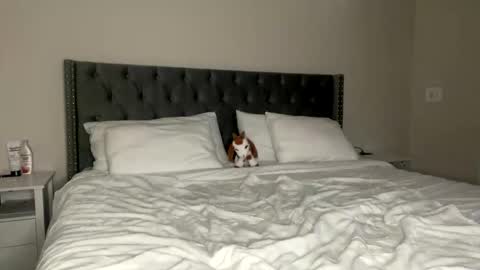 Kekeoutlaw online show from 02.13.26