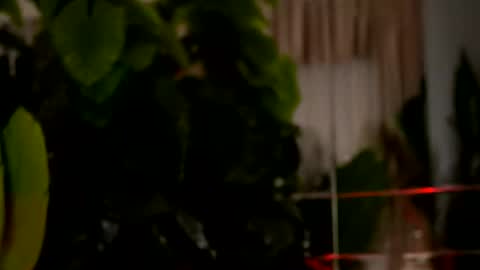 Denise online show from 03.29.26