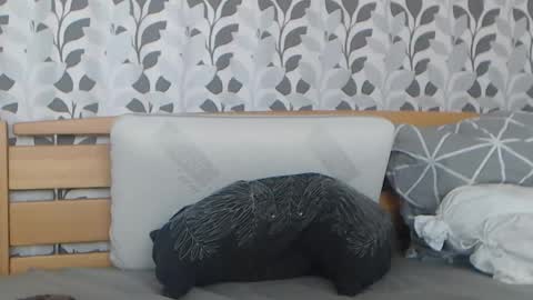 Snapshot of kelywild20 chatting on 07.25.26 kelywild20 online show from 07.25.26