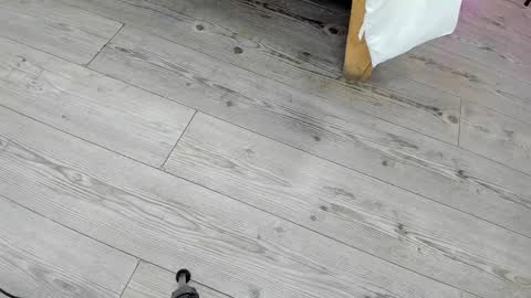 Kendra London online show from 02.24.26