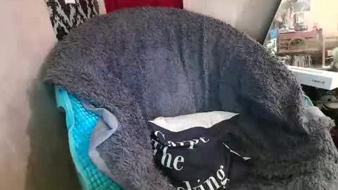 Kennedy Nova  online show from 12.20.25