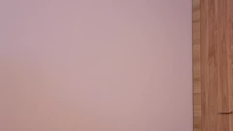 Lisa online show from 02.18.26