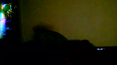 Snapshot of kev_crew25 chatting on 02.18.26 kev online show from 02.18.26