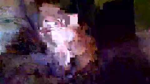 Snapshot of khrisdavis63 chatting on 10.21.25 Khristopher Davis online show from 10.21.25