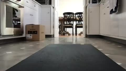 Kicknbutt online show from 02.26.26