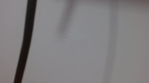 Melody online show from 10.03.25