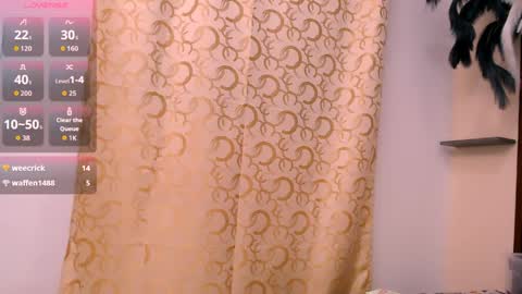 KIMBER online show from 04.03.26