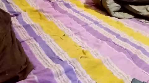 Snapshot of kingbat30 chatting on 03.02.25 kingbat30 online show from 03.02.25