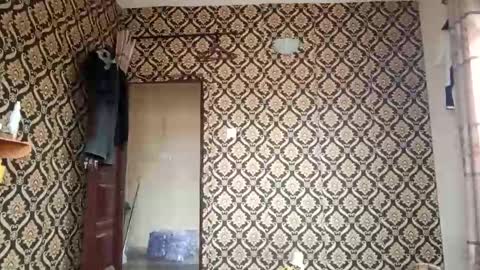 kingemizzy online show from 02.03.26