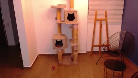 kintsugi online show from 11.07.25