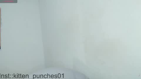 kitten_punches02 online show from 11.01.25