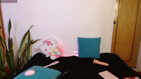 Snapshot of kittycatw chatting on 12.17.25 LAURA help me reach 100likes online show from 12.17.25