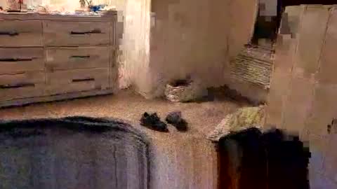 Snapshot of kittykat175154 chatting on 02.27.26 kittykat175154 online show from 02.27.26