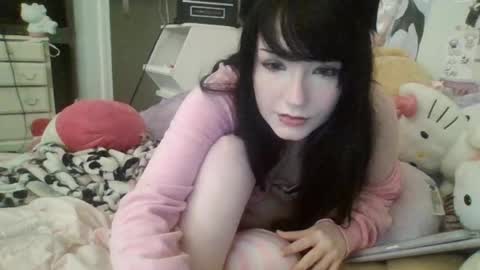 kittypills online show from 06.08.26