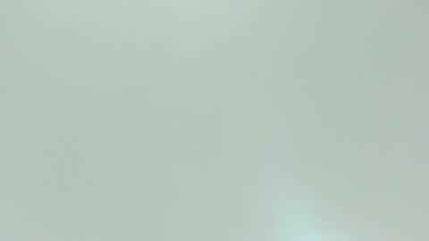 Kiwi online show from 02.10.26