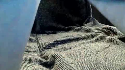 kiwibulge123 online show from 05.25.26