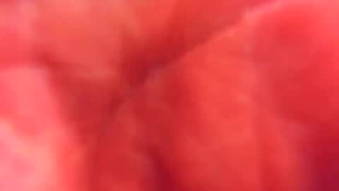 Snapshot of kobayaske chatting on 02.15.25 kobayaske online show from 02.15.25