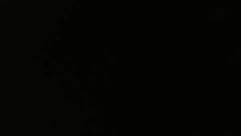 kodiak8807 online show from 02.26.26