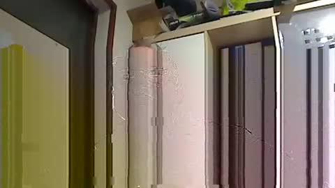 Snapshot of kokin3034 chatting on 02.22.25 kokin3034 online show from 02.22.25