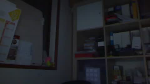 Snapshot of kokin3034 chatting on 02.25.25 kokin3034 online show from 02.25.25