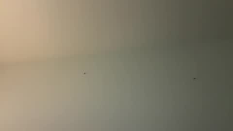 Snapshot of kovapoika chatting on 10.23.25 kovapoika online show from 10.23.25