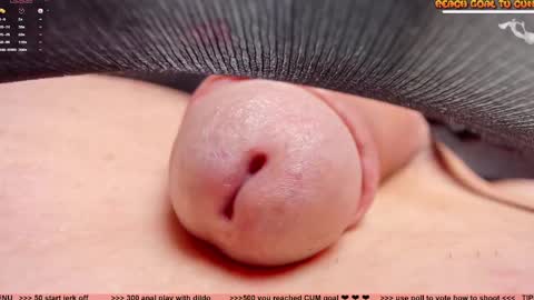 Petra online show from 03.12.26