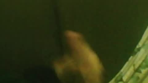 Snapshot of kren565656 chatting on 12.29.24 kren565656 online show from 12.29.24