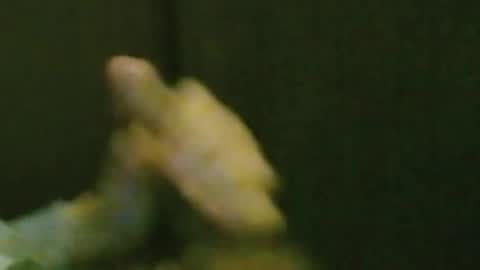 Snapshot of kren565656 chatting on 10.20.25 kren565656 online show from 10.20.25